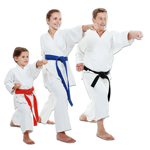 Martial Arts Lessons for Families in Old Bethpage NY - Man and Daughters Family Punching Together