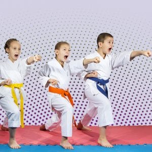 Martial Arts Lessons for Kids in Old Bethpage NY - Punching Focus Kids Sync